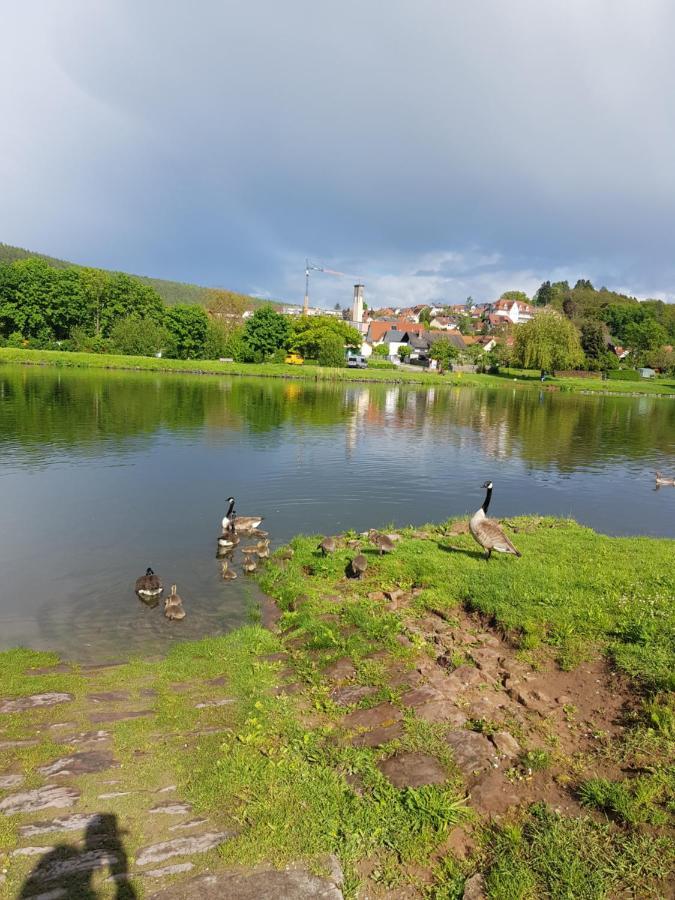 Ferienwohnung Im Springerhof Lohr am Main Екстер'єр фото