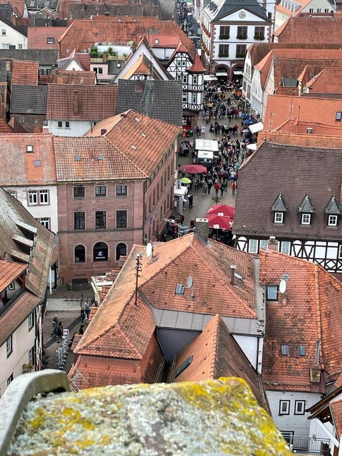 Ferienwohnung Im Springerhof Lohr am Main Екстер'єр фото